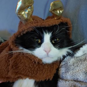 Pet Reindeer Costume XS-S